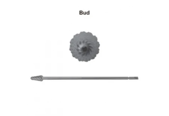 Brocas Bud